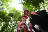 嵐山 竹林