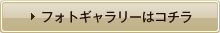 フォトギャラリーはコチラ