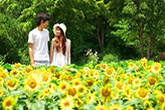 京都府立植物園